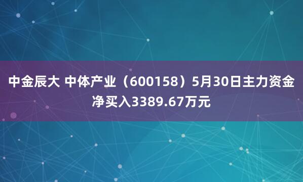 中金辰大 中体产业（600158）5月30日主力资金净买入3389.67万元