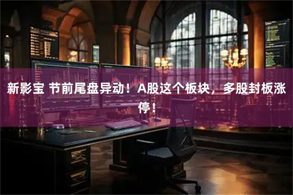 新影宝 节前尾盘异动！A股这个板块，多股封板涨停！