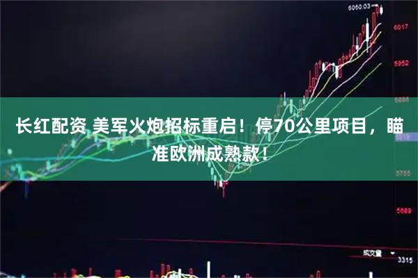 长红配资 美军火炮招标重启！停70公里项目，瞄准欧洲成熟款！