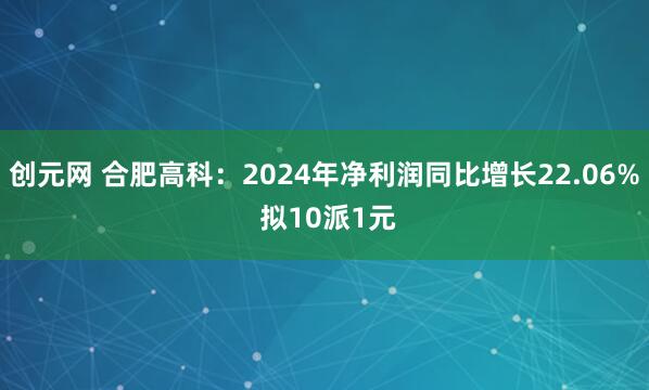 创元网 合肥高科：2024年净利润同比增长22.06% 拟10派1元