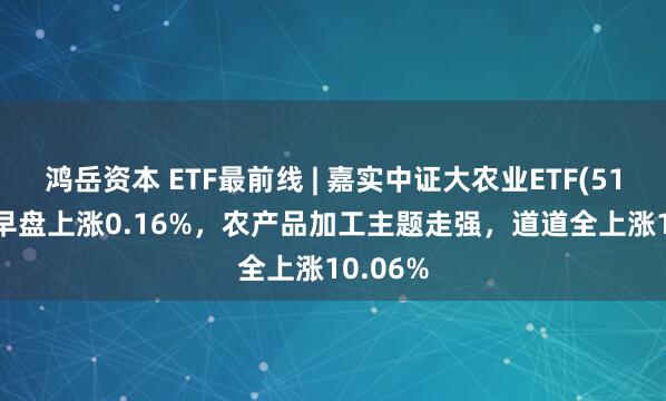 鸿岳资本 ETF最前线 | 嘉实中证大农业ETF(516550)早盘上涨0.16%,农产品加工主题走强,道道全上涨10.06%