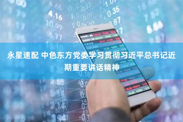 永星速配 中色东方党委学习贯彻习近平总书记近期重要讲话精神
