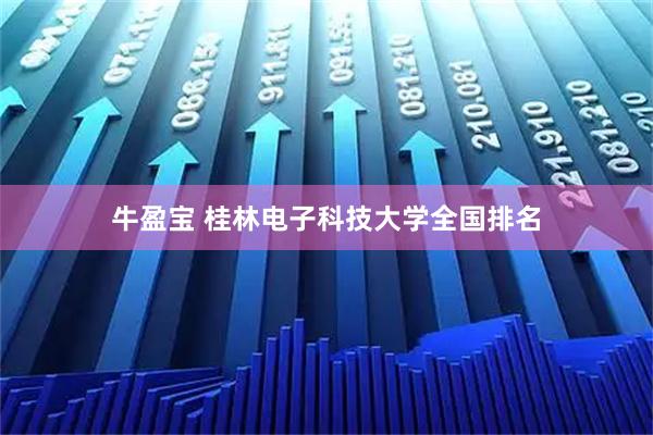 牛盈宝 桂林电子科技大学全国排名