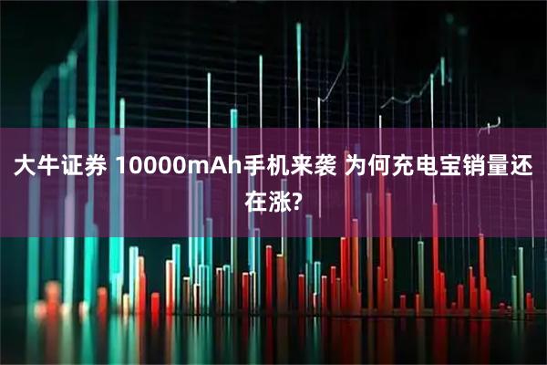 大牛证券 10000mAh手机来袭 为何充电宝销量还在涨?