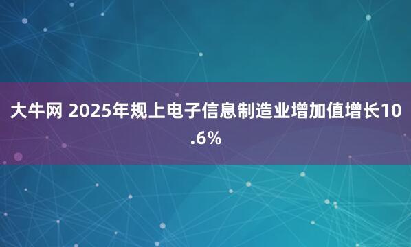 大牛网 2025年规上电子信息制造业增加值增长10.6%
